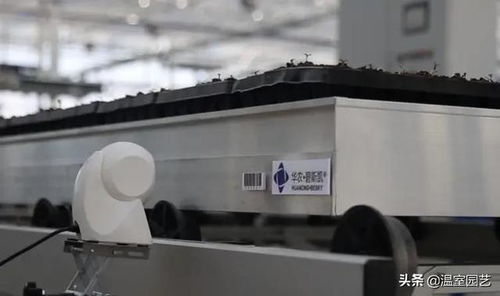 温室作业效率低 来向这家中药材产业示范区学习