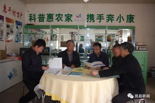 工作动态 岚县人民政府门户网站